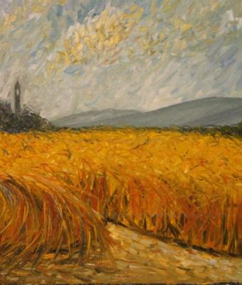 campo-di-grano-campagna-bologn