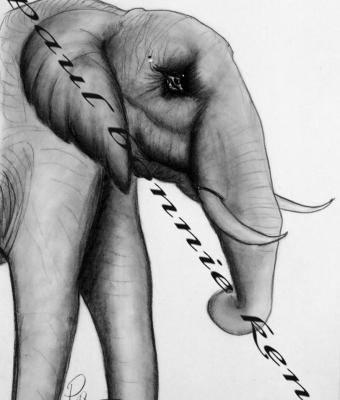 elefante