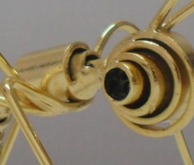uomini-e-insetti