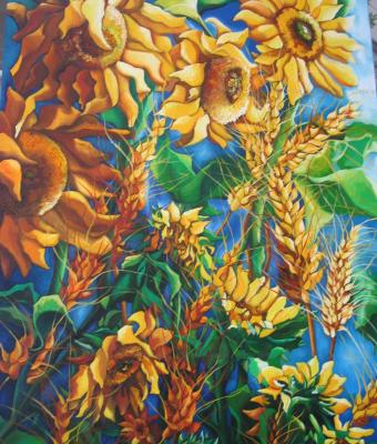 girasoli