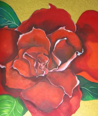 rosa