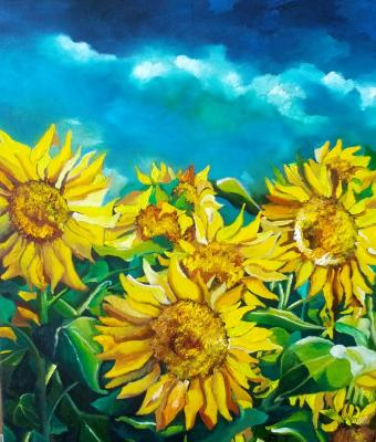girasoli