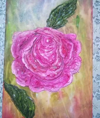 rosa