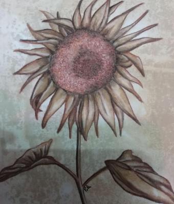 girasole