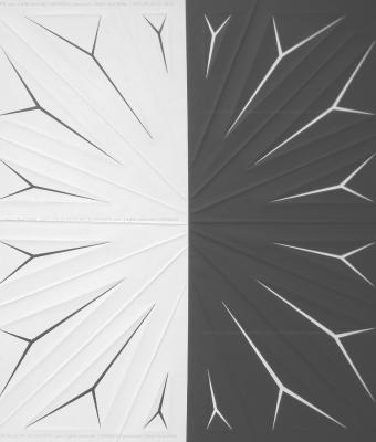 black-and-white