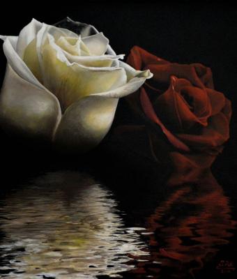 due-rose-ivan-pili