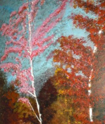 colori-della-natura