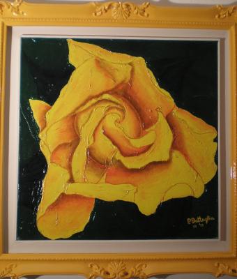 in-nome-della-rosa