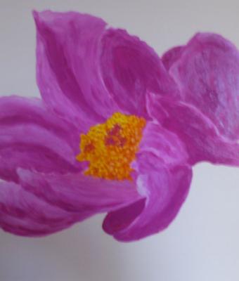 viola