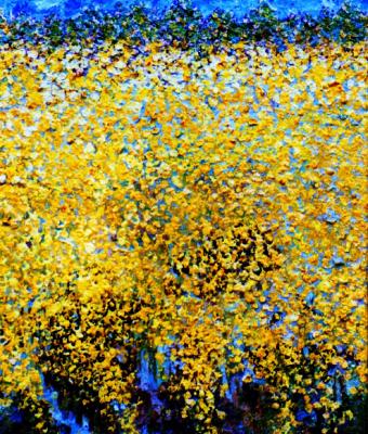 fiori-gialli