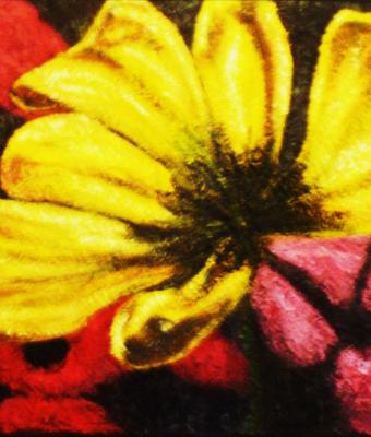 fiorellone-giallo