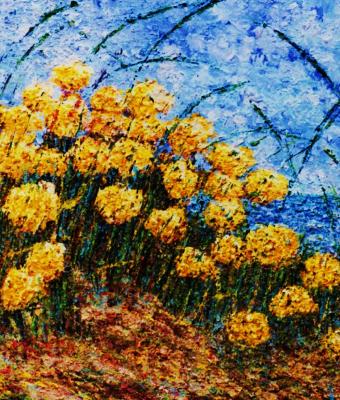 fiori-sulle-dune