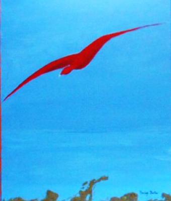 il-gabbiano-rosso