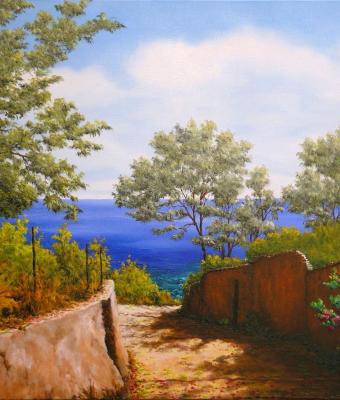 verso-il-mare-di-liguria