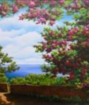 bouganvillea-sul-mare