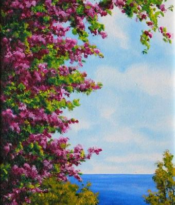la-bouganvillea