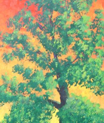 tree-15