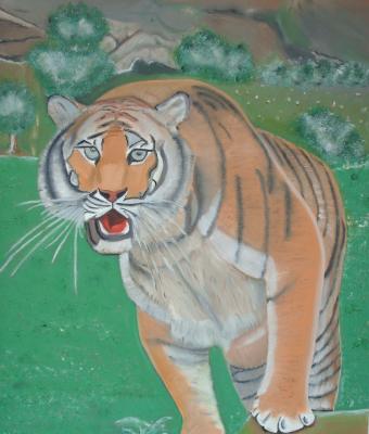 tiger