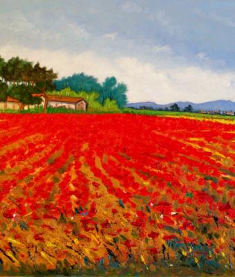 campo-di-papaveri-artista-pie