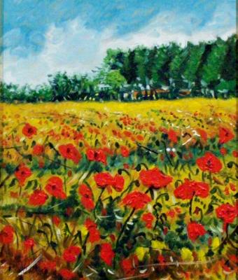 campo-di-papaveri-artista-pie