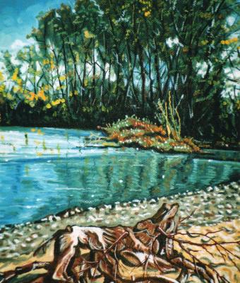 riflessi-sul-ticino