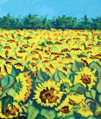 campo-di-girasoli-artista-pie
