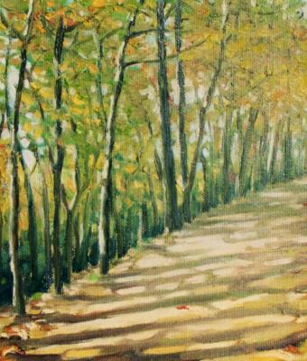 quot-strada-di-montagna-quo