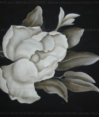 magnolia-monocromtica