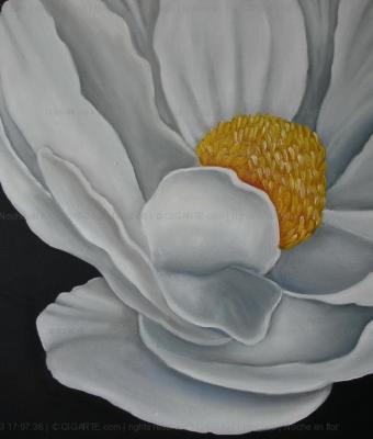 noche-en-flor