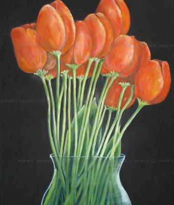 tulipanes