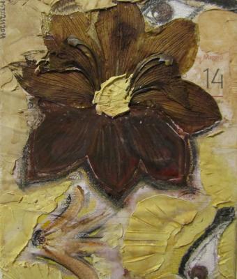 orchidea-del-sepolcro