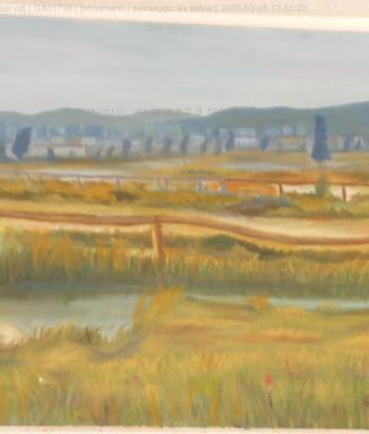 paesaggio-ex-saline