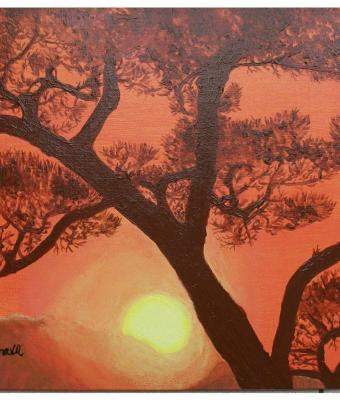 tramonto-toscano