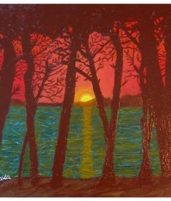 tramonto-pineta-di-levante-fo
