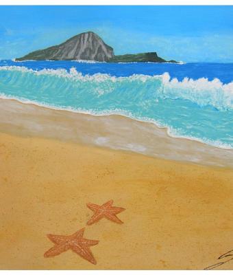 le-stelle-spiaggiate