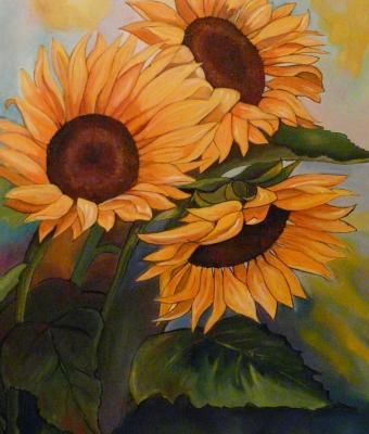 girasoli
