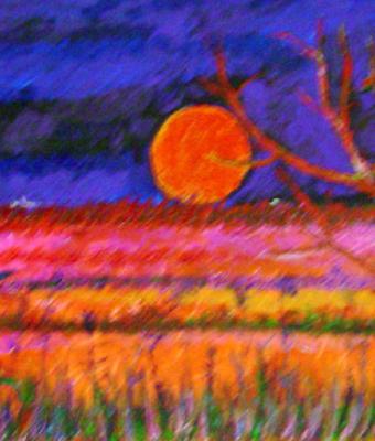 notturno