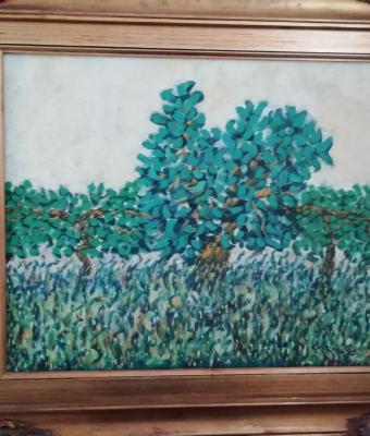 a-santa-caterina-il-fico-e-le