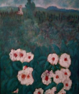 ed-in-fondo-santa-giustina