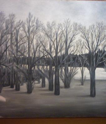 paesaggio-invernale-surreale