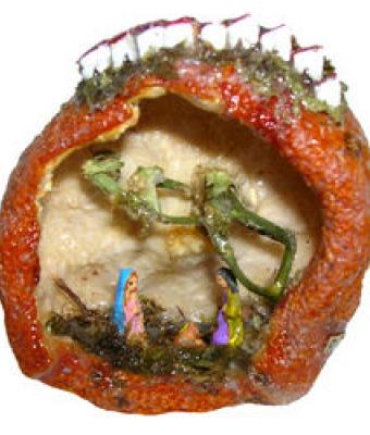 mandarino