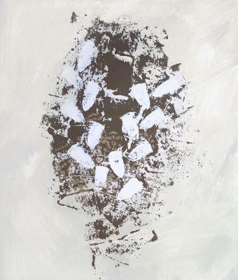 flora-acromatica-tonale-vari