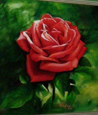 rosa-rossa