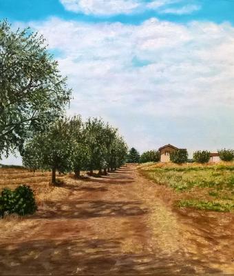 campagna-pugliese