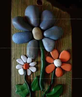 fiori-di-pietra