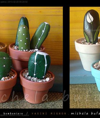 cactus-e-fiori-di-pietra