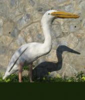 cicogna