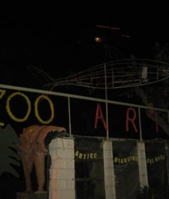 zoo-art