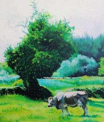 mucca-al-pascolo