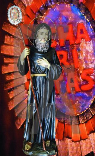il-bastone-di-san-francesco